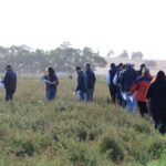Variety Trial Update – Annual Field Day – March 2020