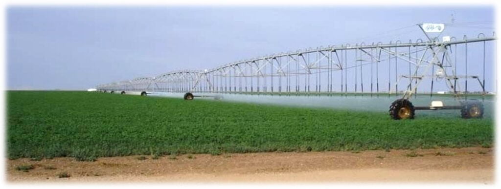 Lucerne under pivot irrigation in Saudi