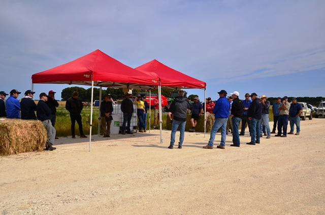 Hay Making Workshop