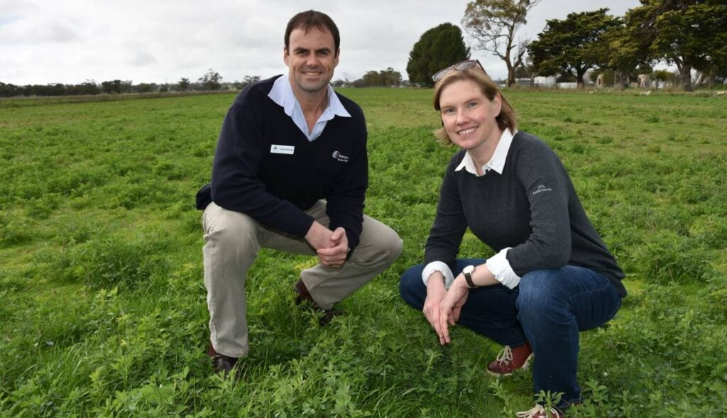 Lucerne Australia chairman Josh Rasheed with NSW DPI researcher Ainsley Seago, who has just completed a project aiming to find ways to reduce the impact of lucerne seed wasp.