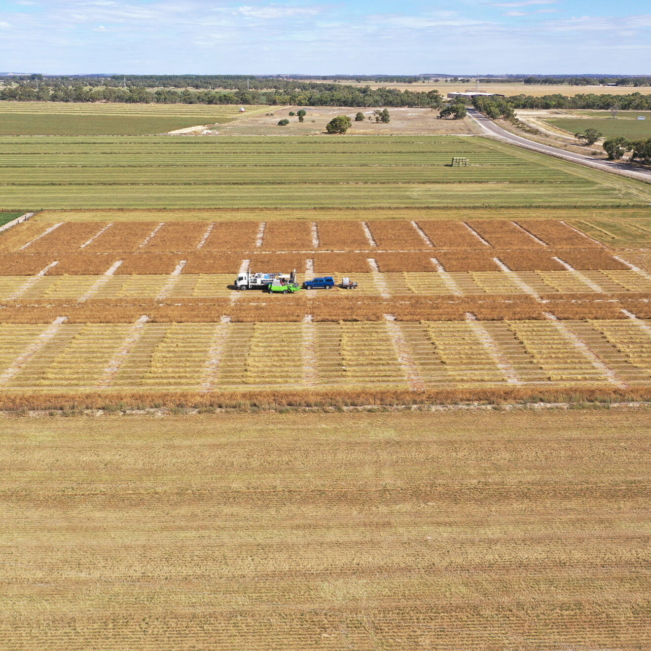 Lucerne Trial Site Harvest